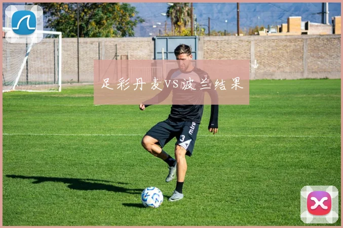 足彩丹麦vs波兰结果