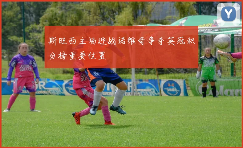 斯旺西主场迎战诺维奇争夺英冠积分榜重要位置
