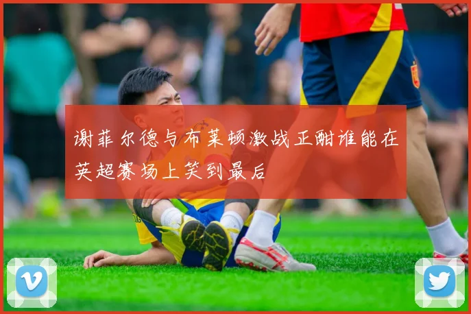 谢菲尔德与布莱顿激战正酣谁能在英超赛场上笑到最后